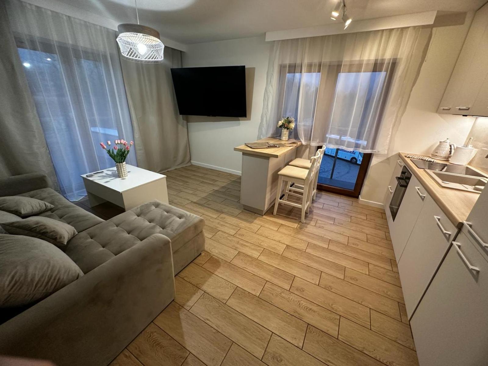 Apartamenty Biala Gran ザコパネ エクステリア 写真