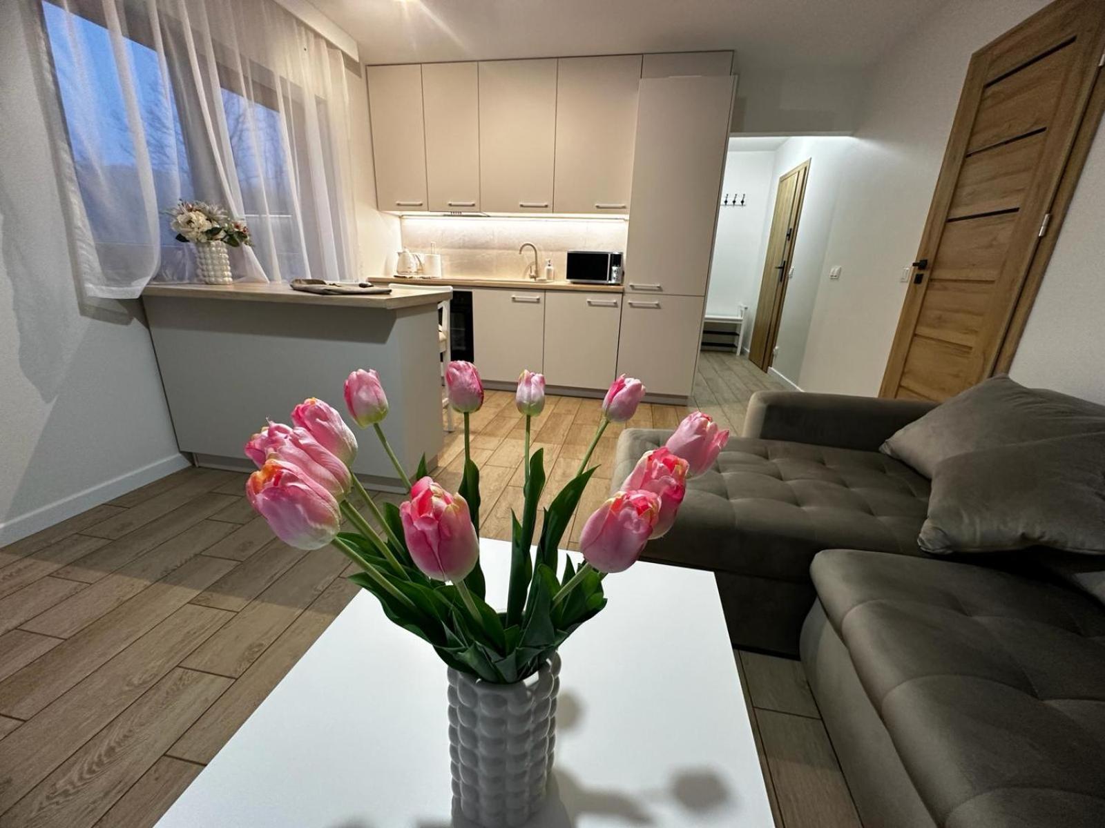 Apartamenty Biala Gran ザコパネ エクステリア 写真