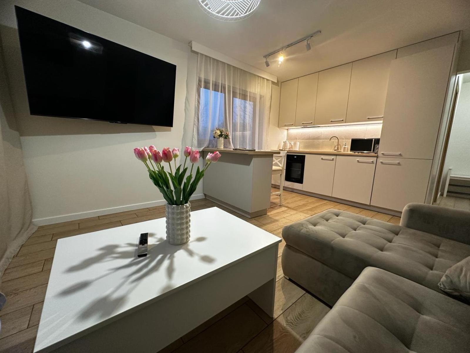 Apartamenty Biala Gran ザコパネ エクステリア 写真