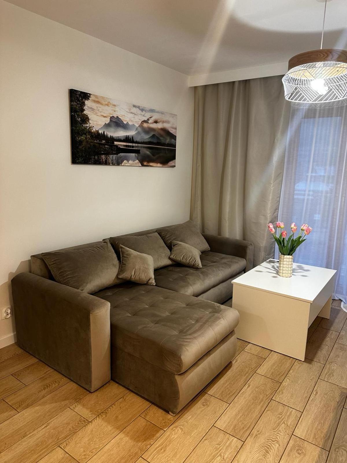 Apartamenty Biala Gran ザコパネ エクステリア 写真